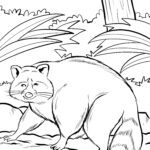 Malvorlage Waschbär