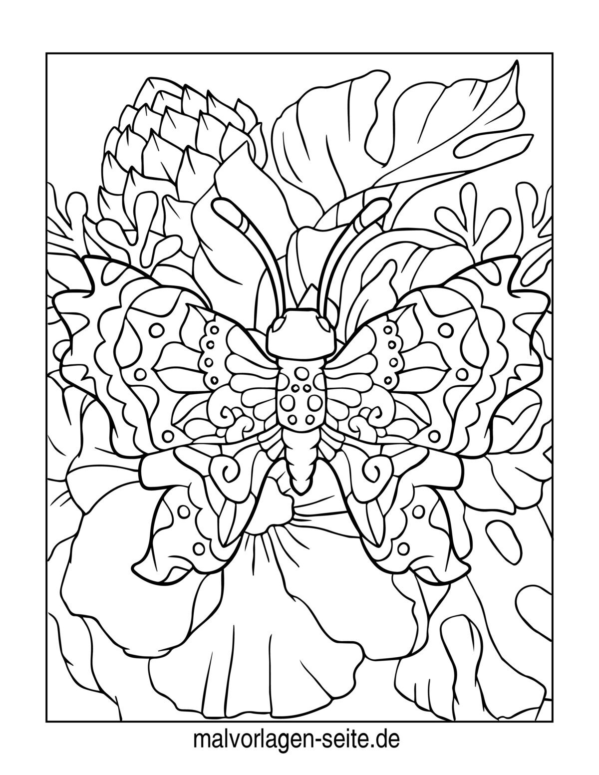Malvorlage Schmetterling