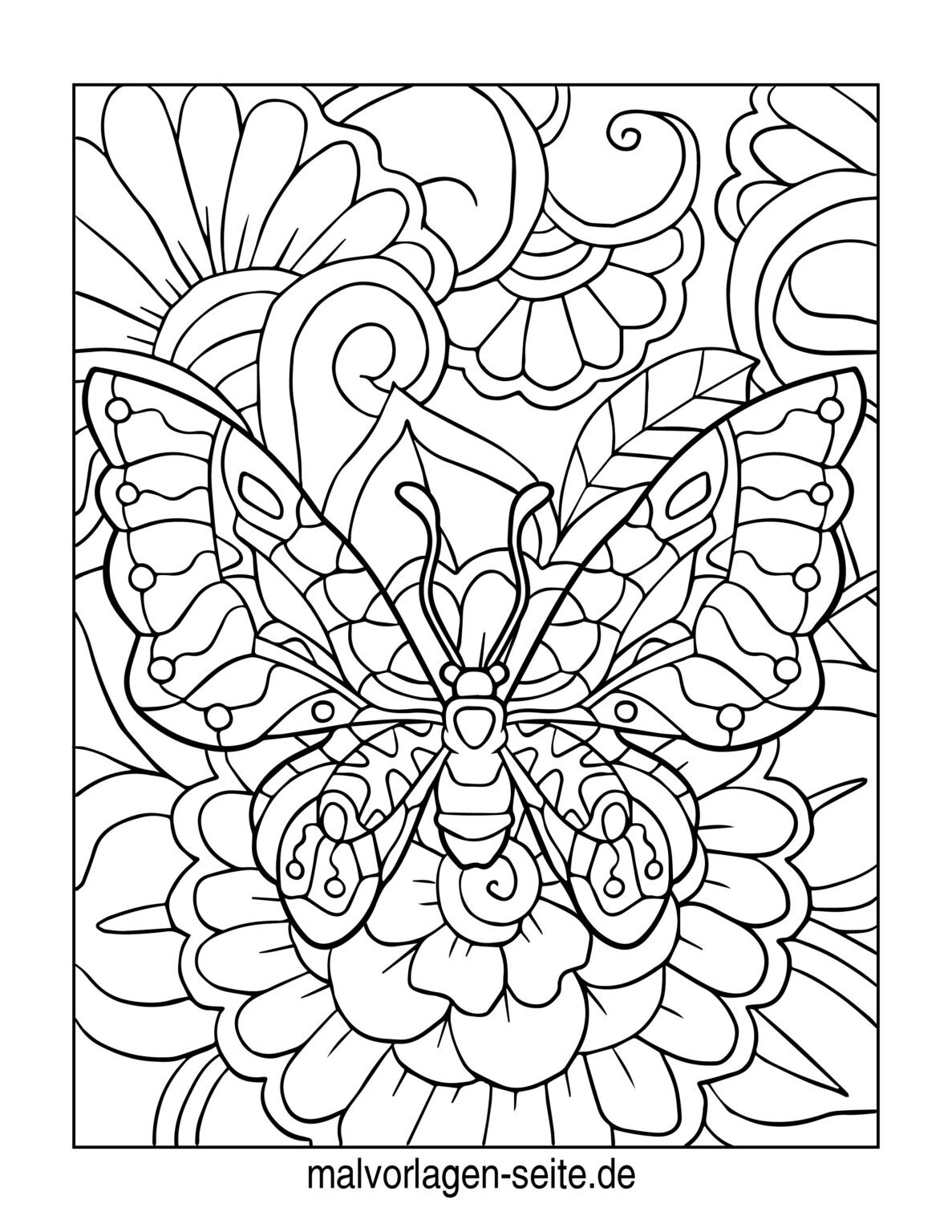  Malvorlage Schmetterling - Ausmalbild kostenlos herunterladen Illustration 