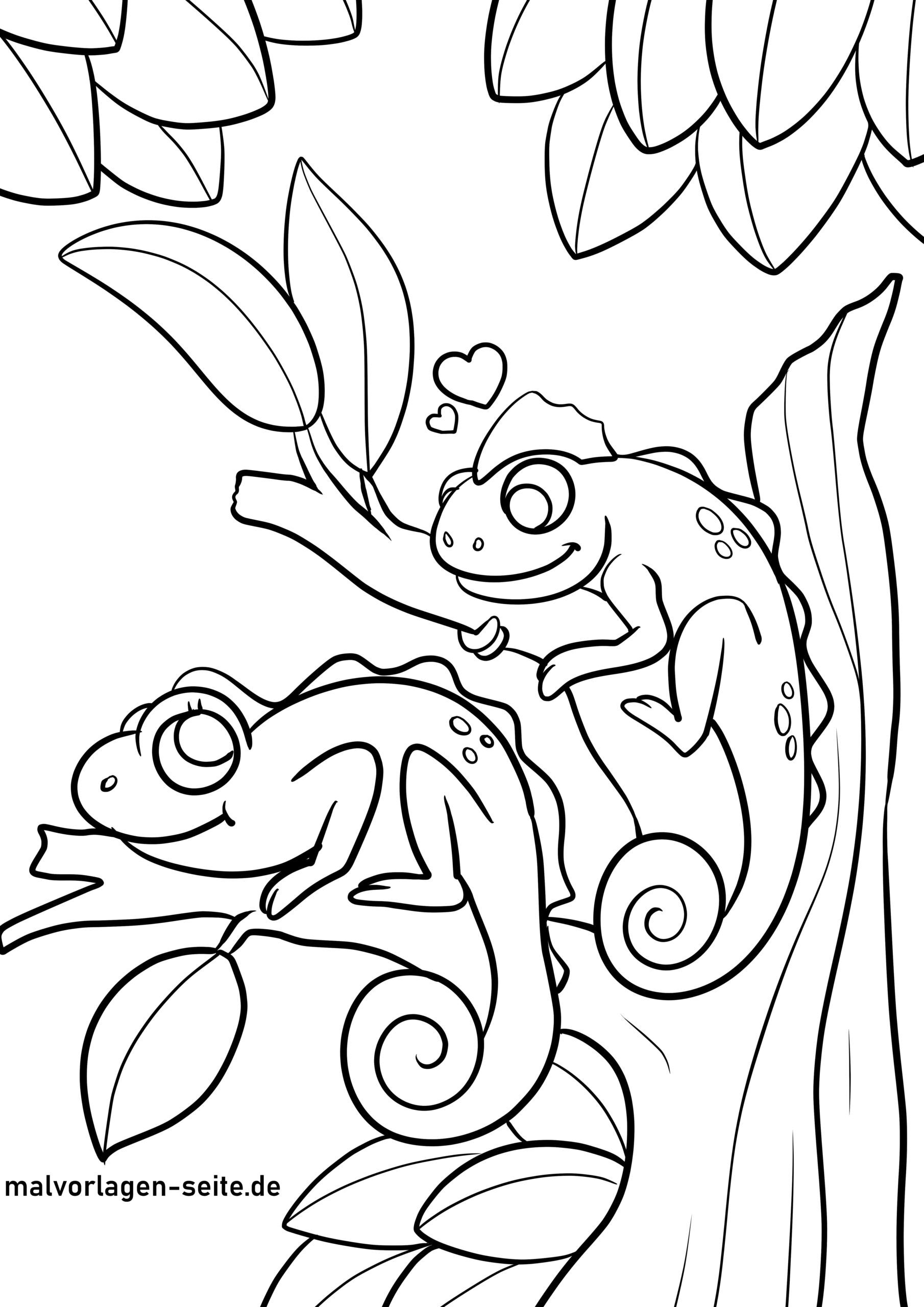 Malvorlage Chamäleon