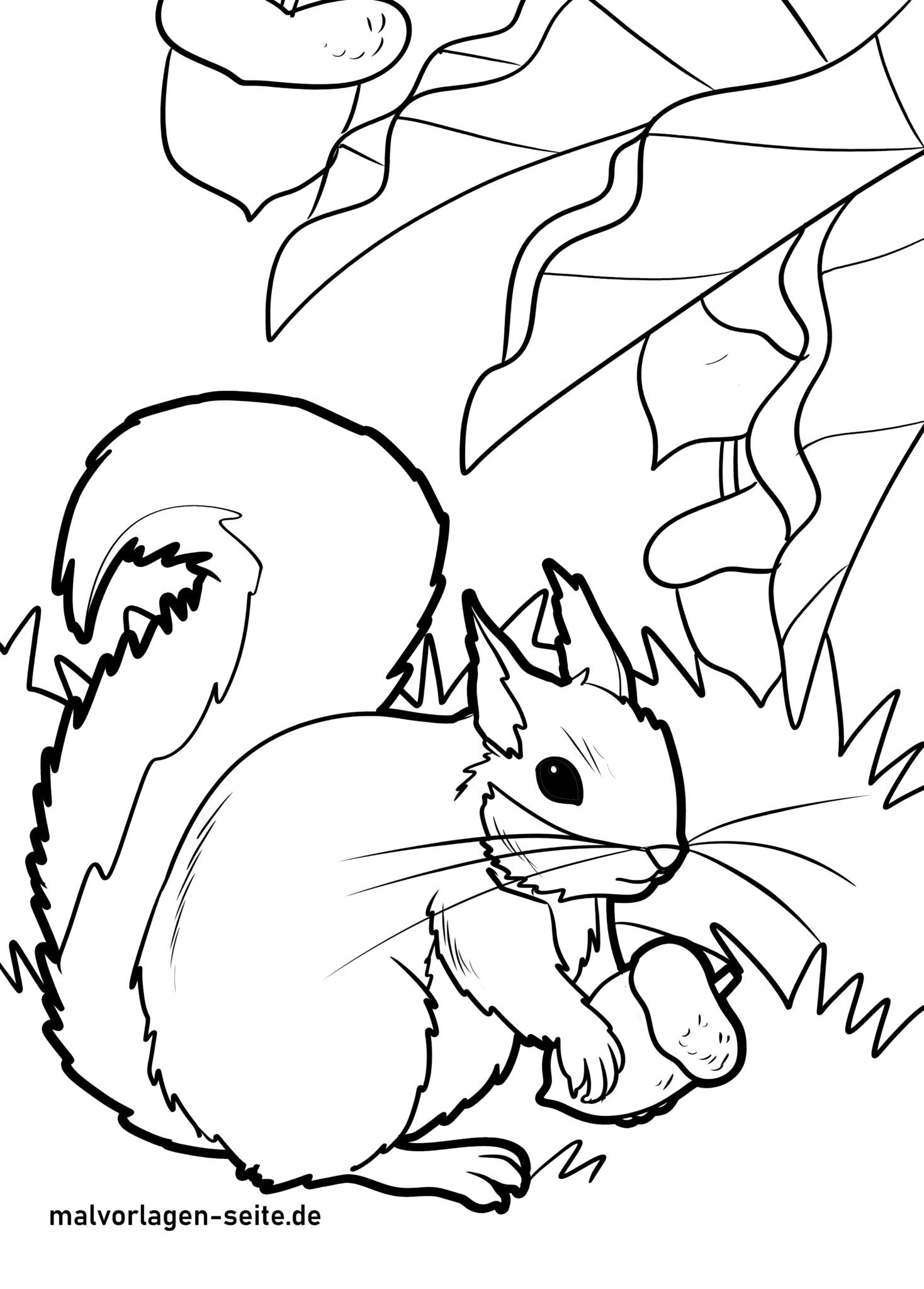  Foto zu Tolle Ausmalbilder Eichhörnchen kostenlos herunterladen 