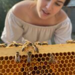 Wie stellen Bienen Bienenwachs her? Wie stellen Bienen Bienenwachs her?