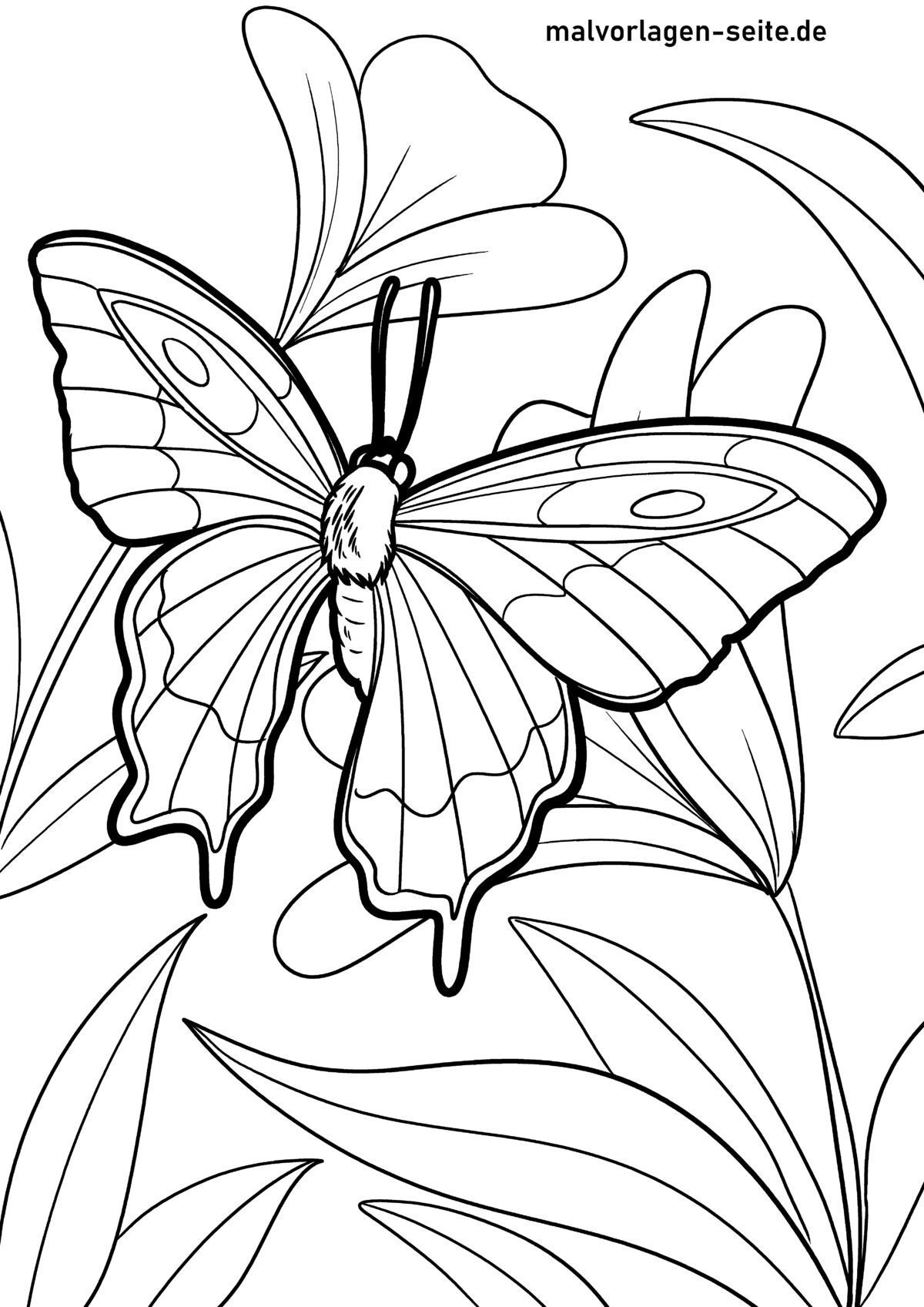 Malvorlage Schmetterling