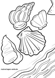 Malvorlage Muscheln