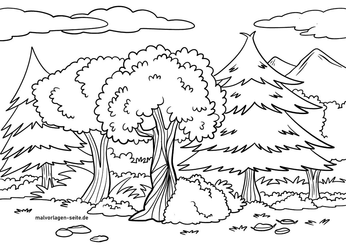 Malvorlage Wald