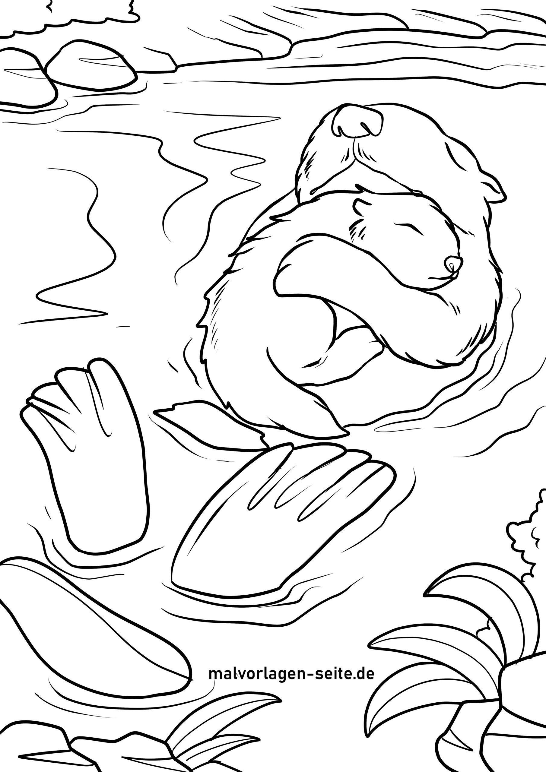 Malvorlage Otter