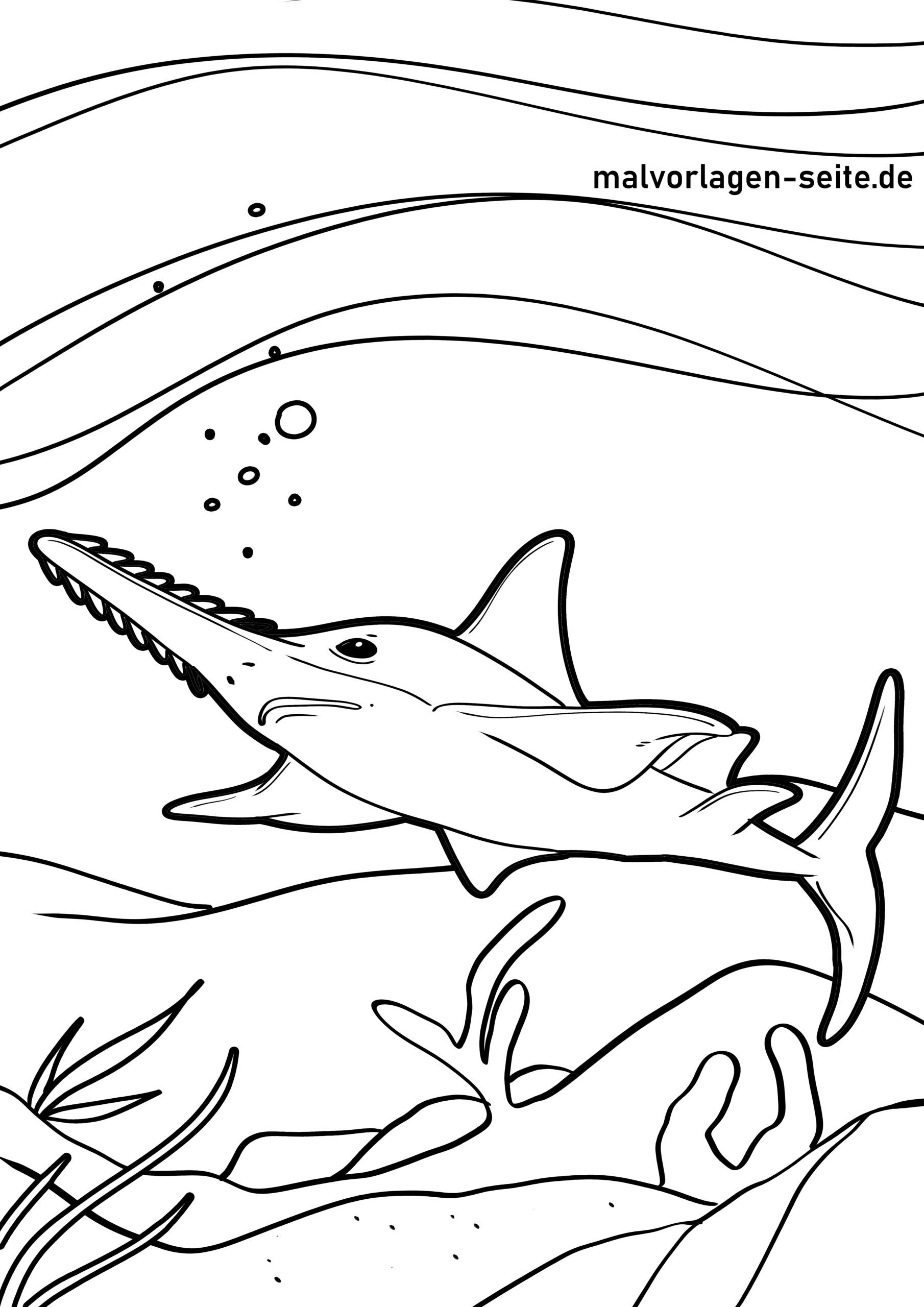 Malvorlage Sägehai