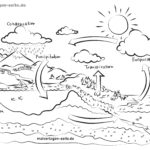 How does the water cycle work