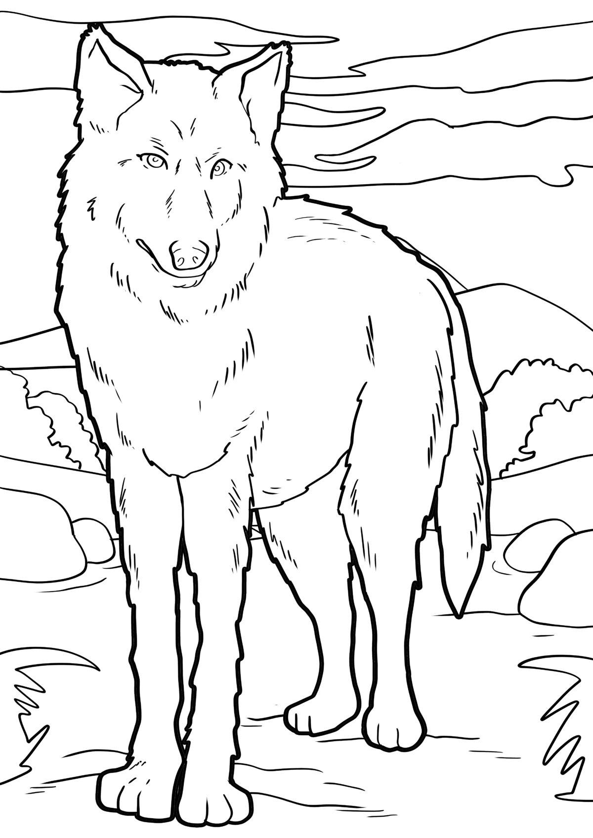 Malvorlage Wolf