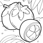 Malvorlage Mangostane