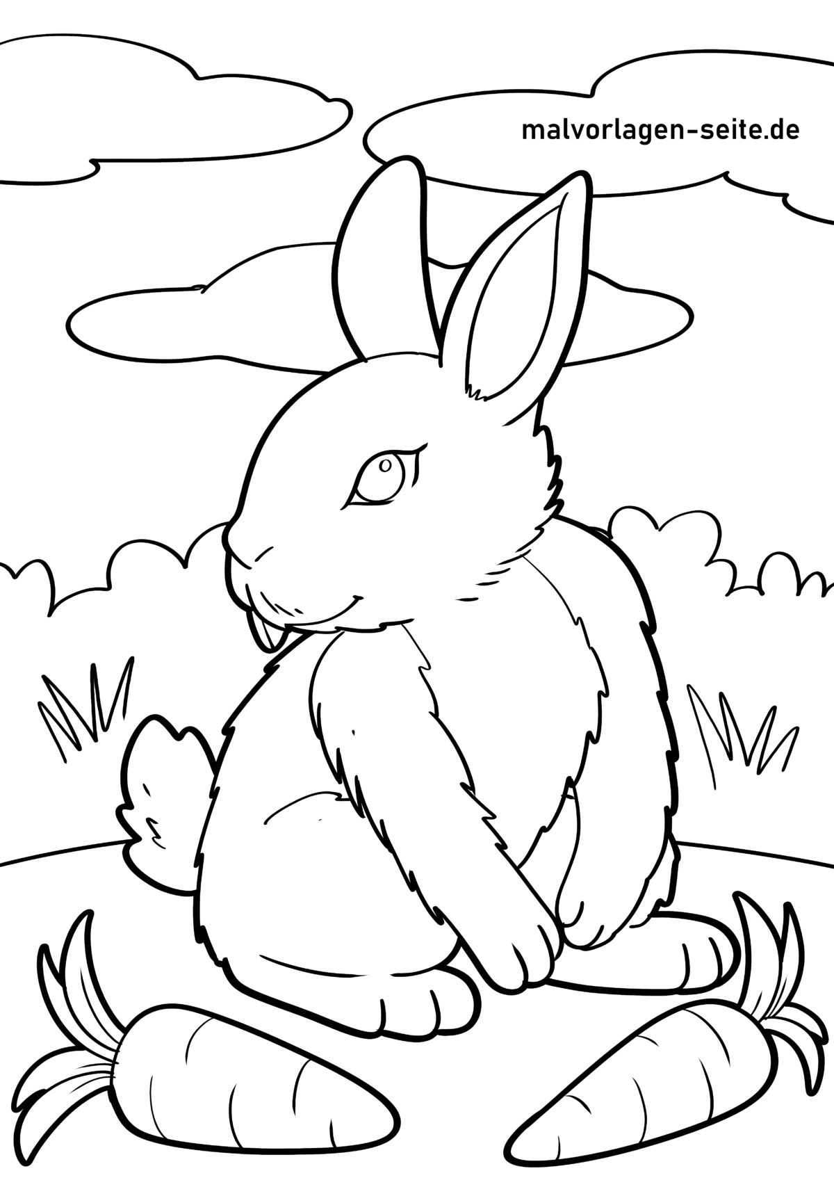 Malvorlage Hase