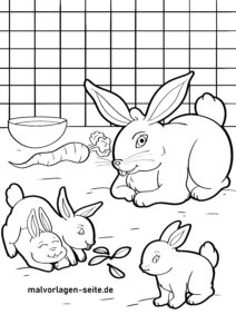 Malvorlage Hase