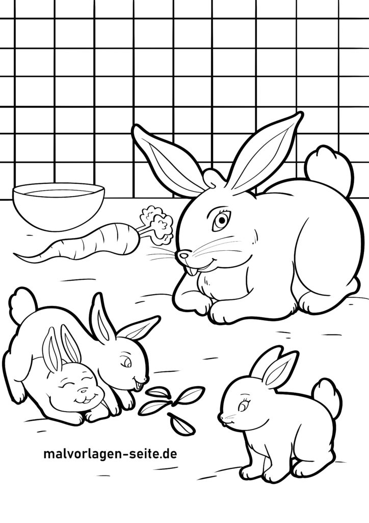  Malvorlage Hase - Ausmalbild kostenlos herunterladen 