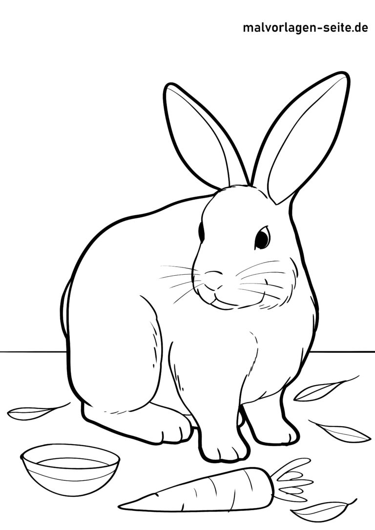  Malvorlage Hase 