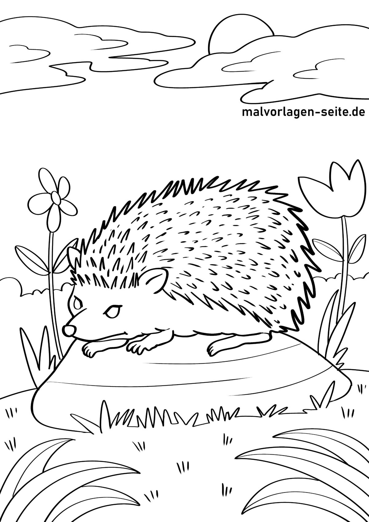 Ausmalbilder Igel kostenlos herunterladen 