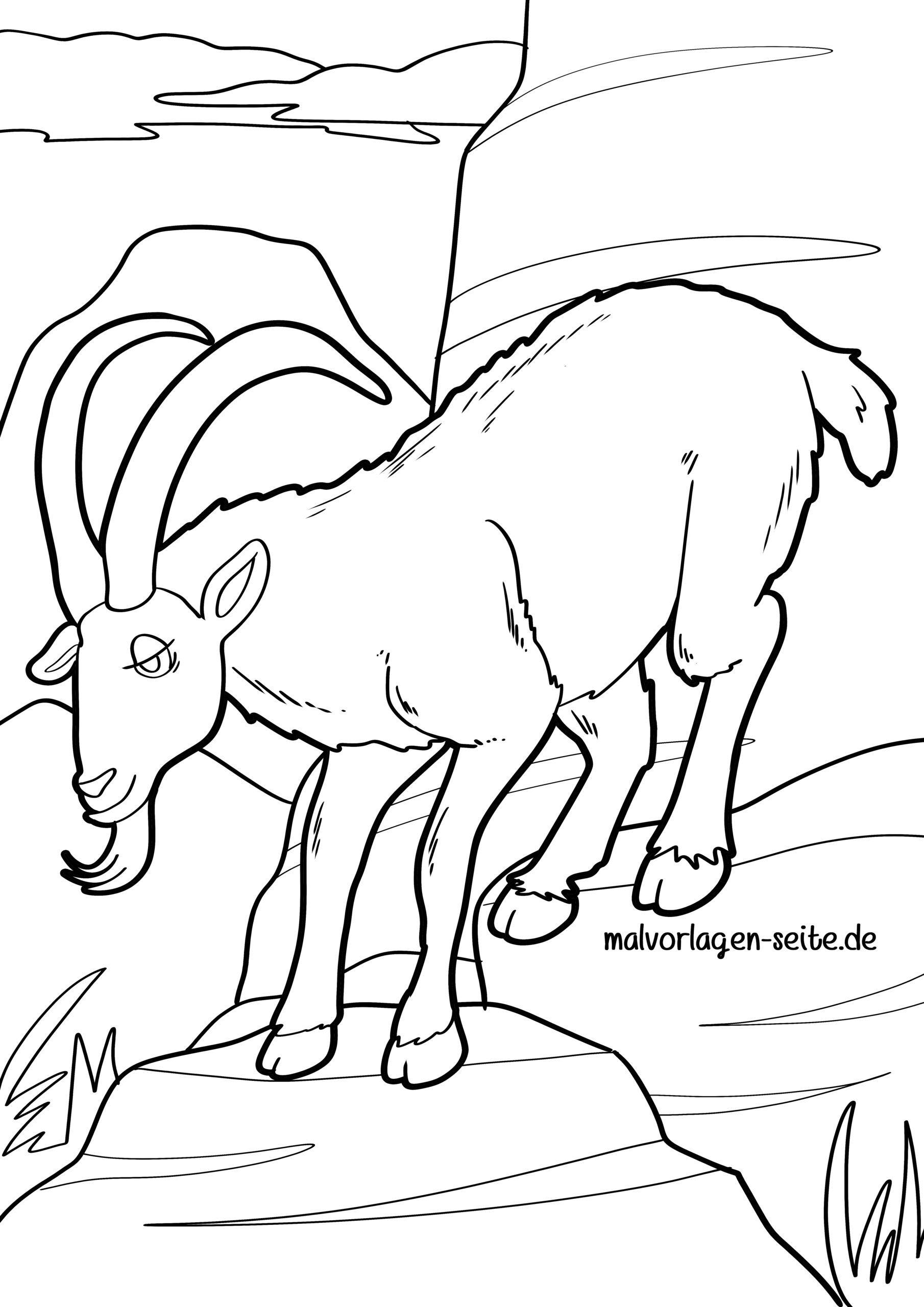 Malvorlage Ziege