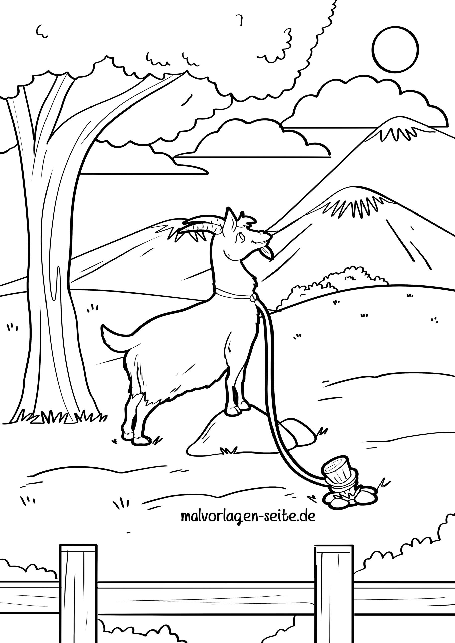 Malvorlage Ziege 