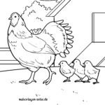 Malvorlage Hühner 