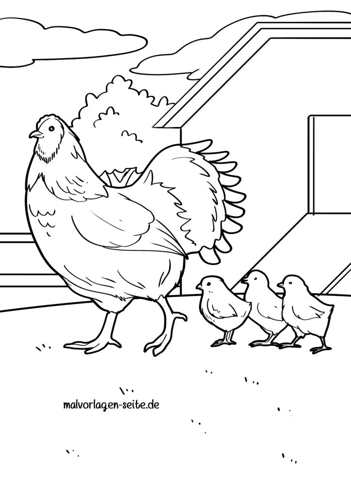  Malvorlage Hühner - Ausmalbild kostenlos herunterladen Bildidee 
