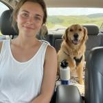 Lange Autofahrt mit Hund - So bereiten Sie Ihren Hund vor Lange Autofahrten mit Hund