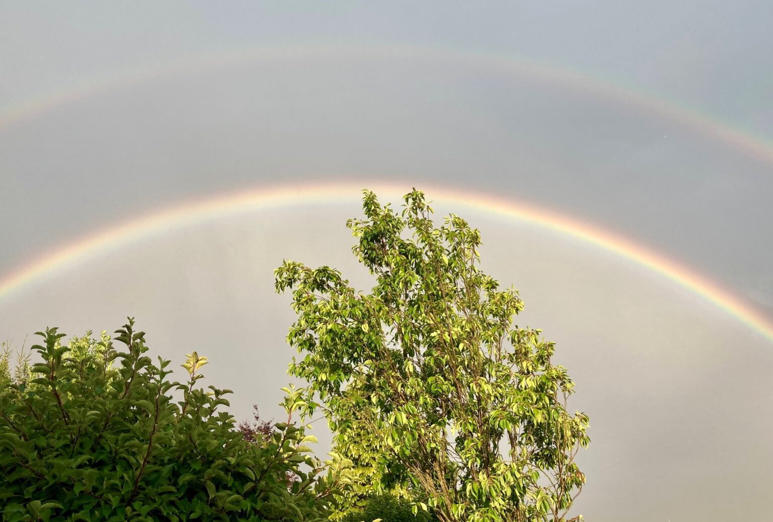 Wie Viel Ist Ein Regenbogen Glas Wert Was Du schon immer über einen Regenbogen wissen wolltest
