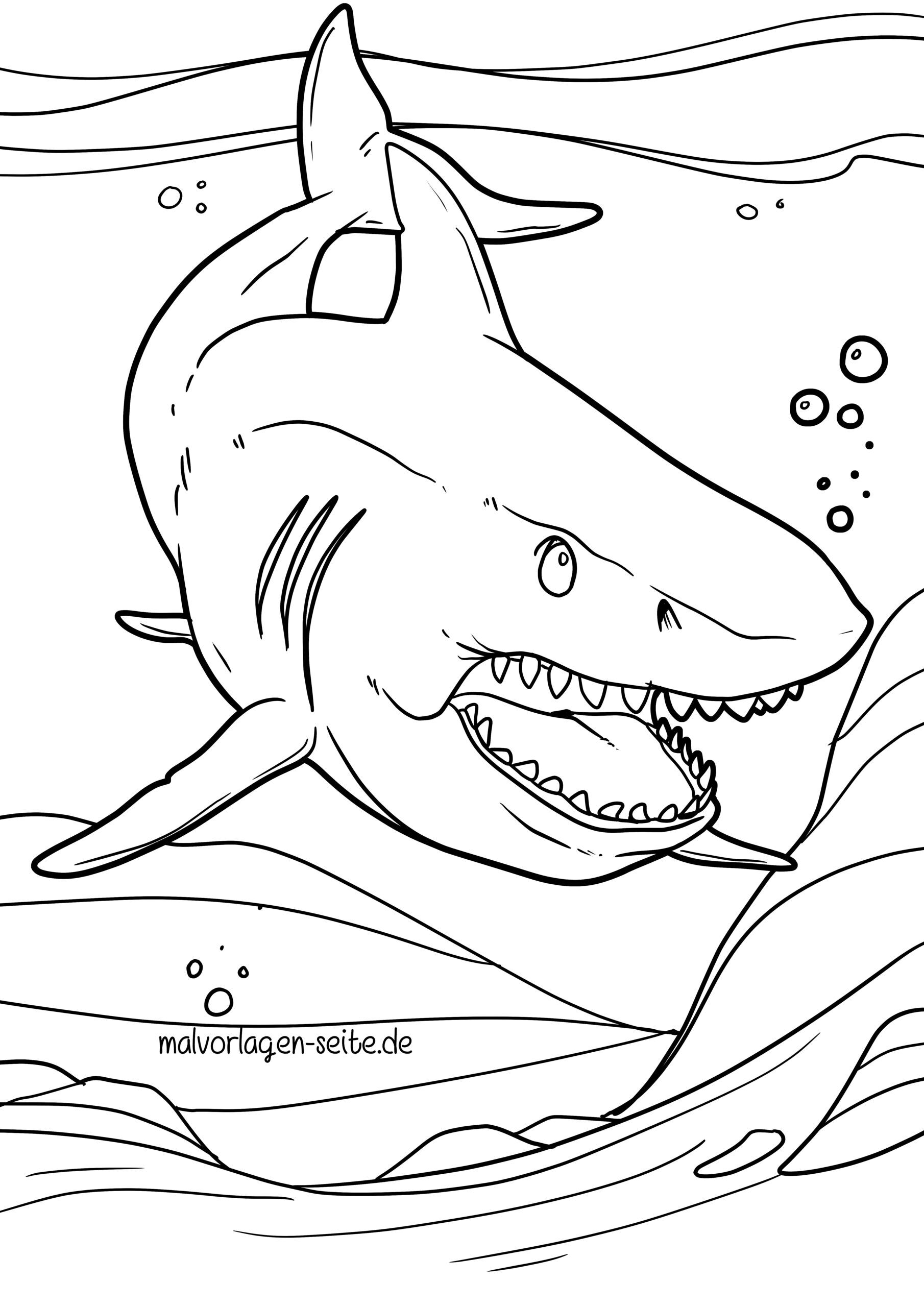 Malvorlage Hai