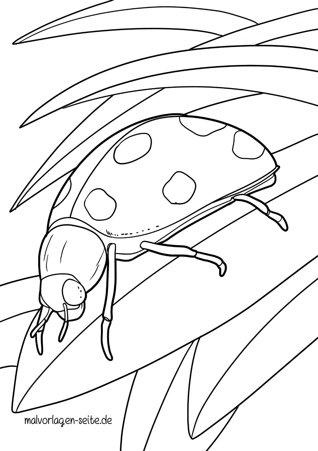  Ausmalbilder Marienkäfer kostenlos herunterladen Illustration 