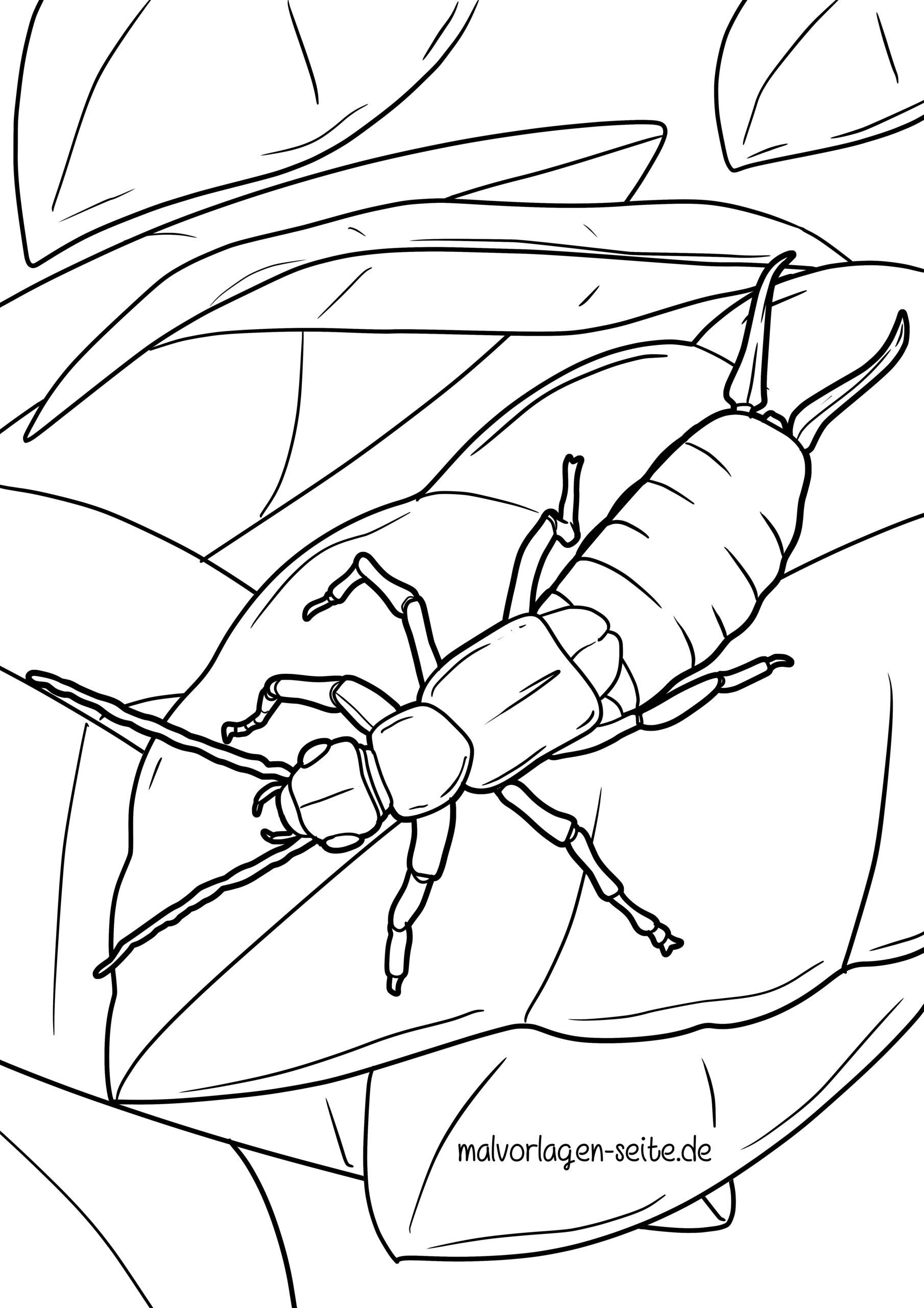 Malvorlage Ohrenkneifer / Ohrwurm