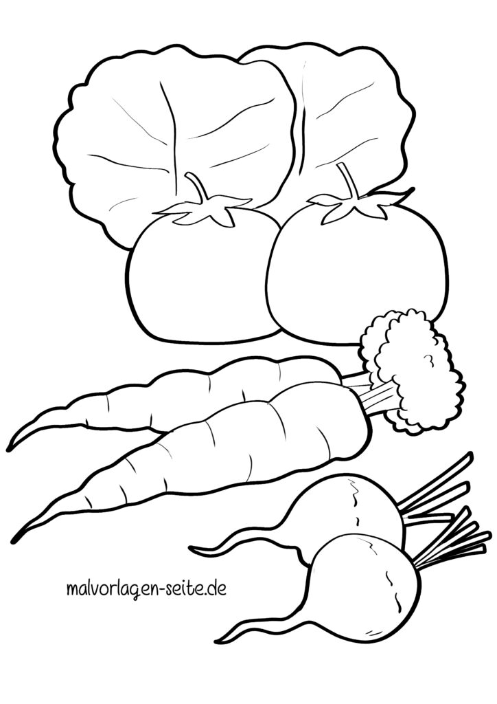  Foto zu Malvorlage Gemüse - Ausmalbild kostenlos herunterladen 