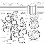 Malvorlage Gemüsegarten