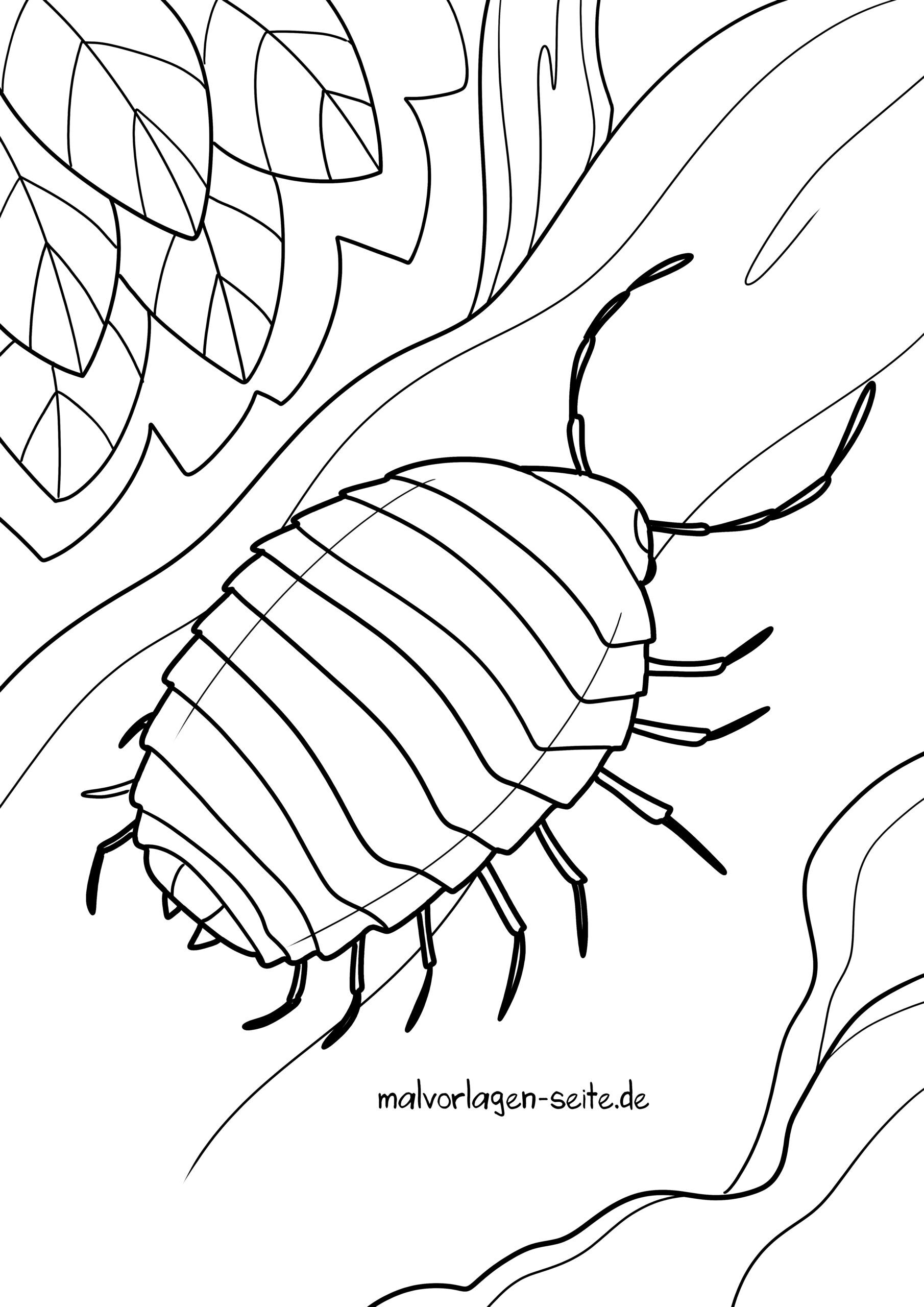 Malvorlage Milbe