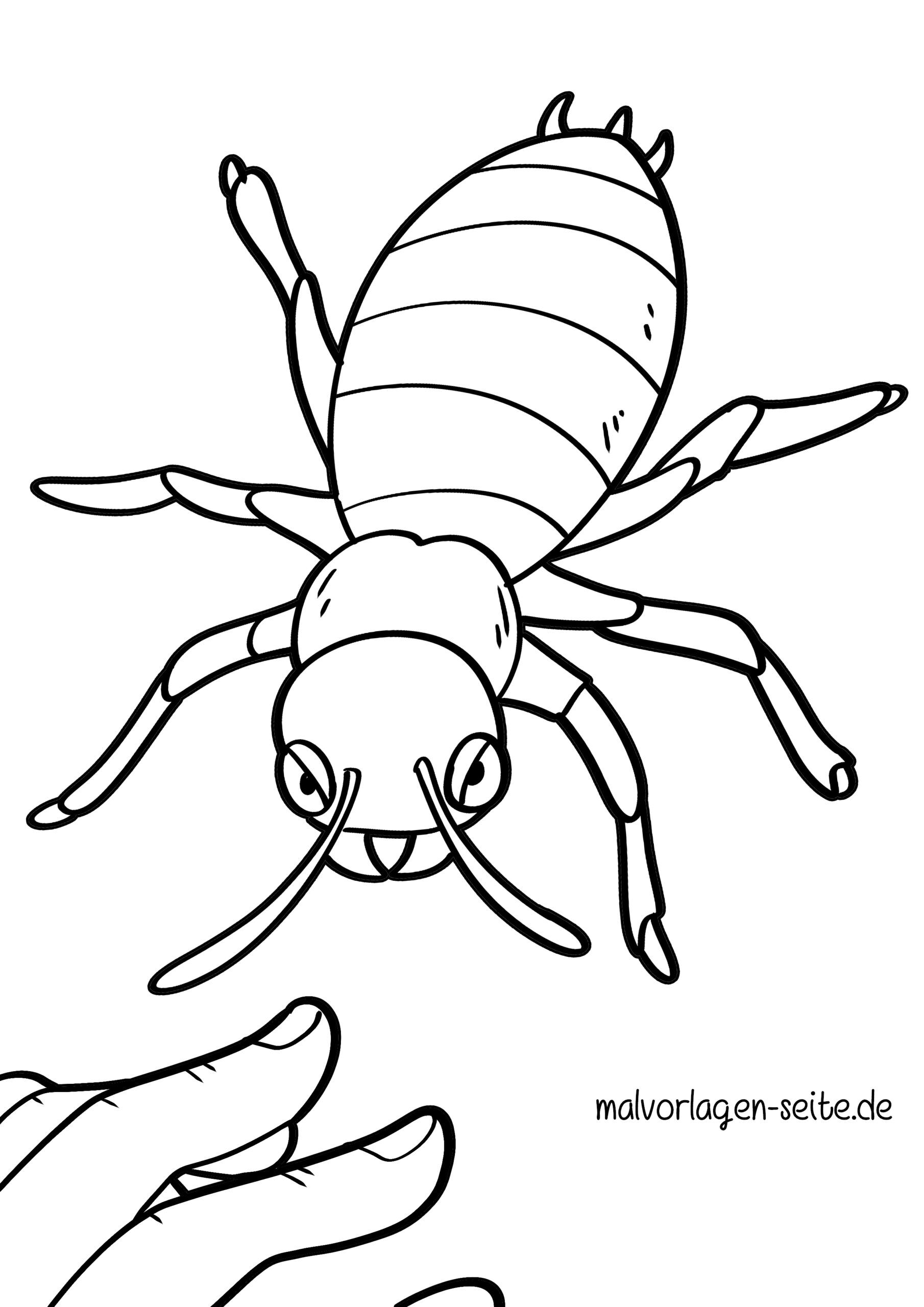 Malvorlage Kartoffelkäfer