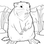 Malvorlage Nutria