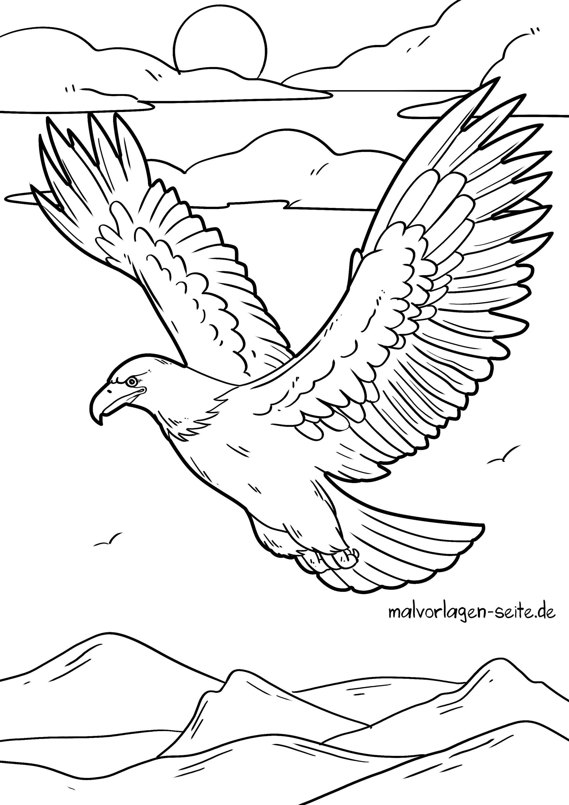 Malvorlage Adler
