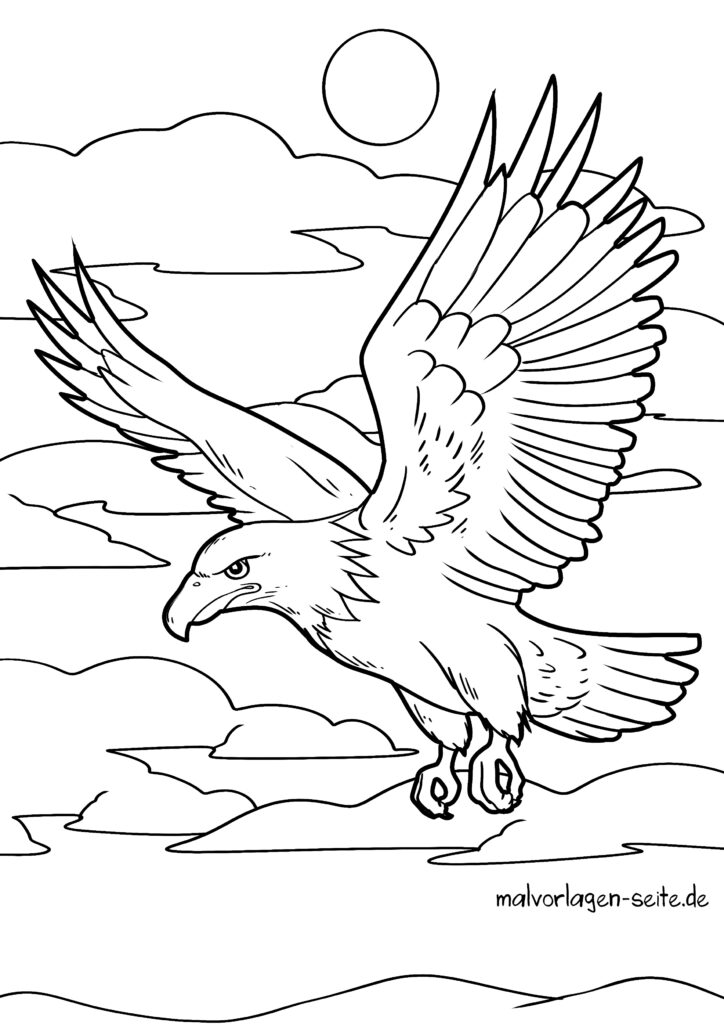 Malvorlage Adler | Ausmalbild kostenlos herunterladen
