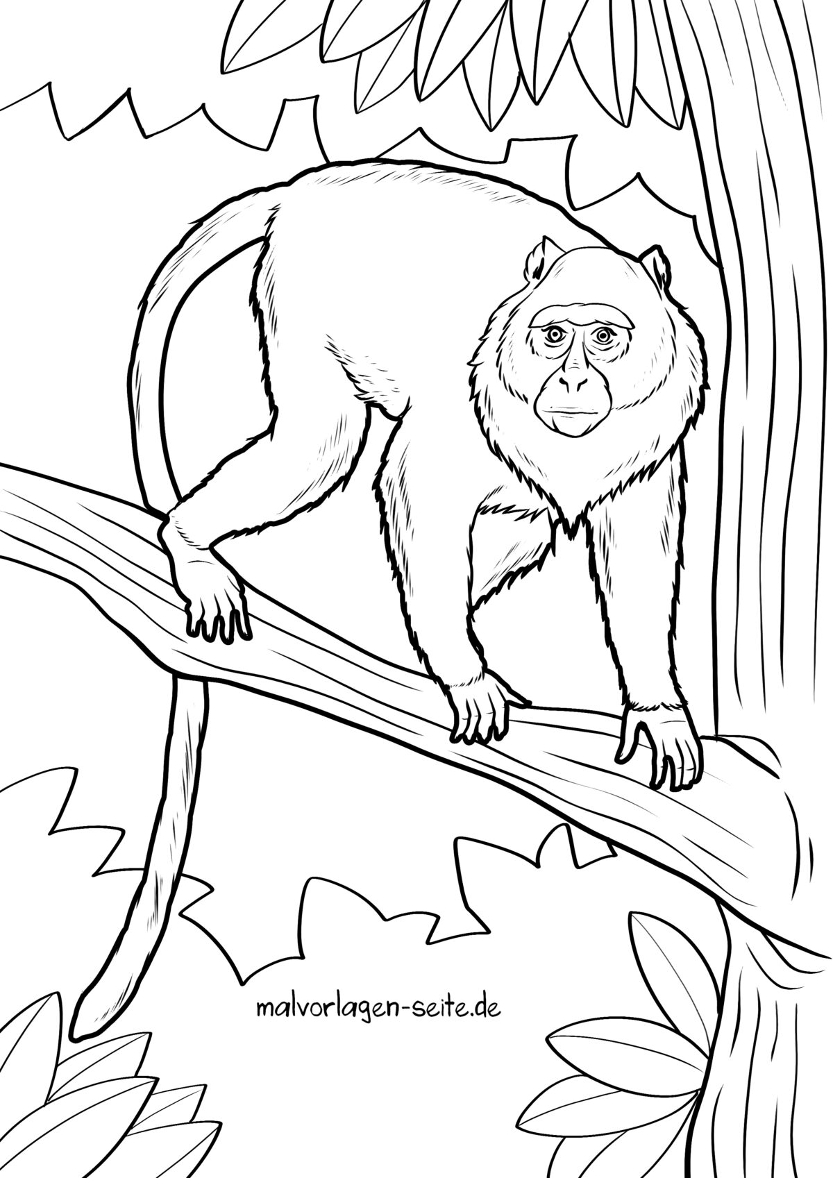 Malvorlage Affe