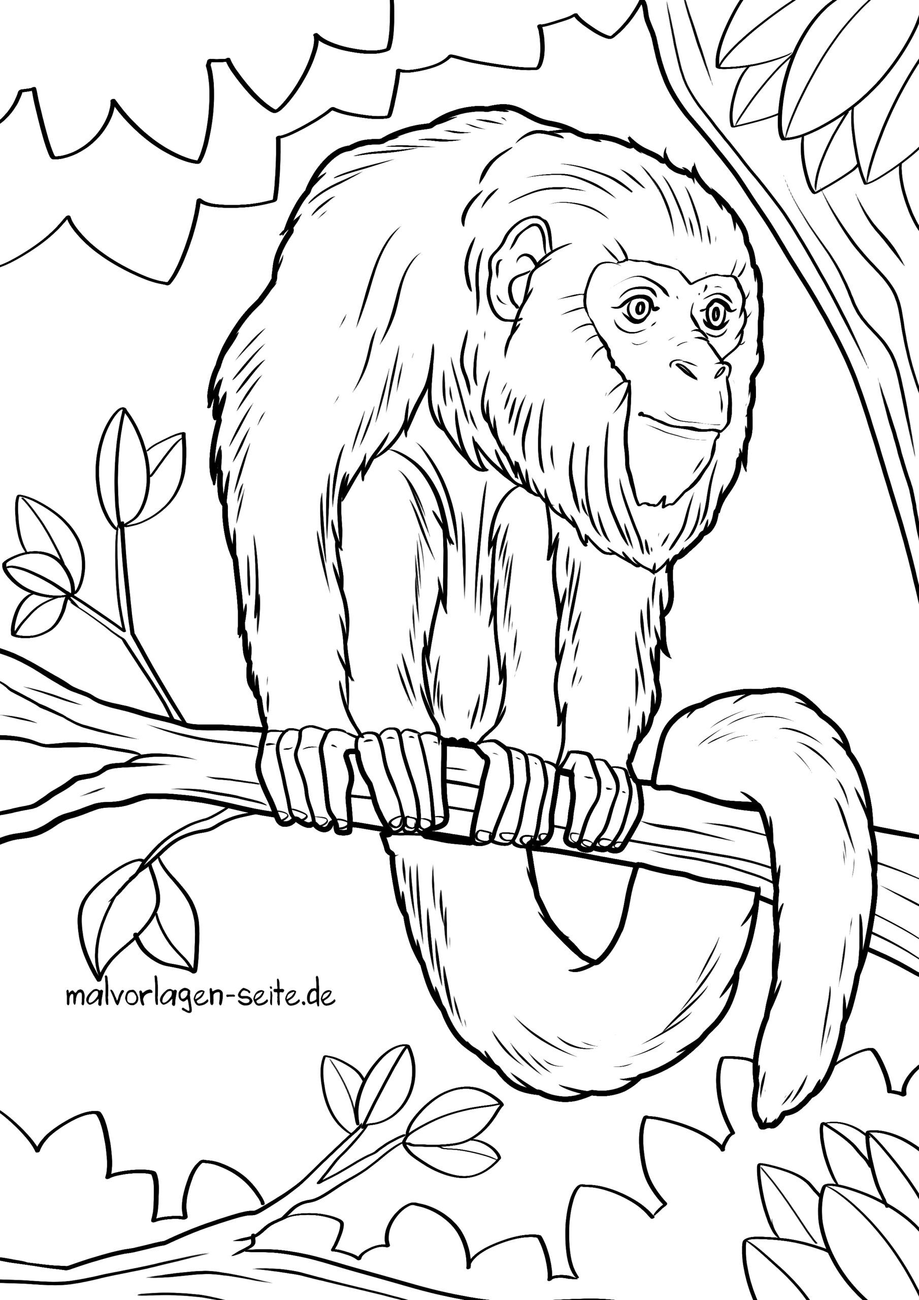 Malvorlage Affe