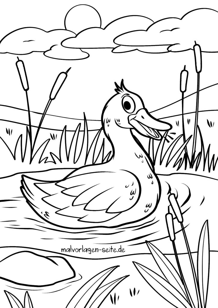  Malvorlage Ente - Ausmalbild kostenlos herunterladen Bildidee 
