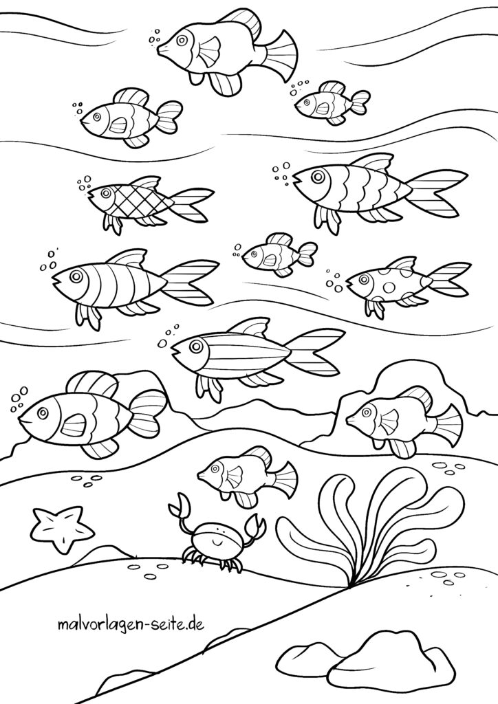  Malvorlage Rochen - Fische - Ausmalbild kostenlos herunterladen Illustration 