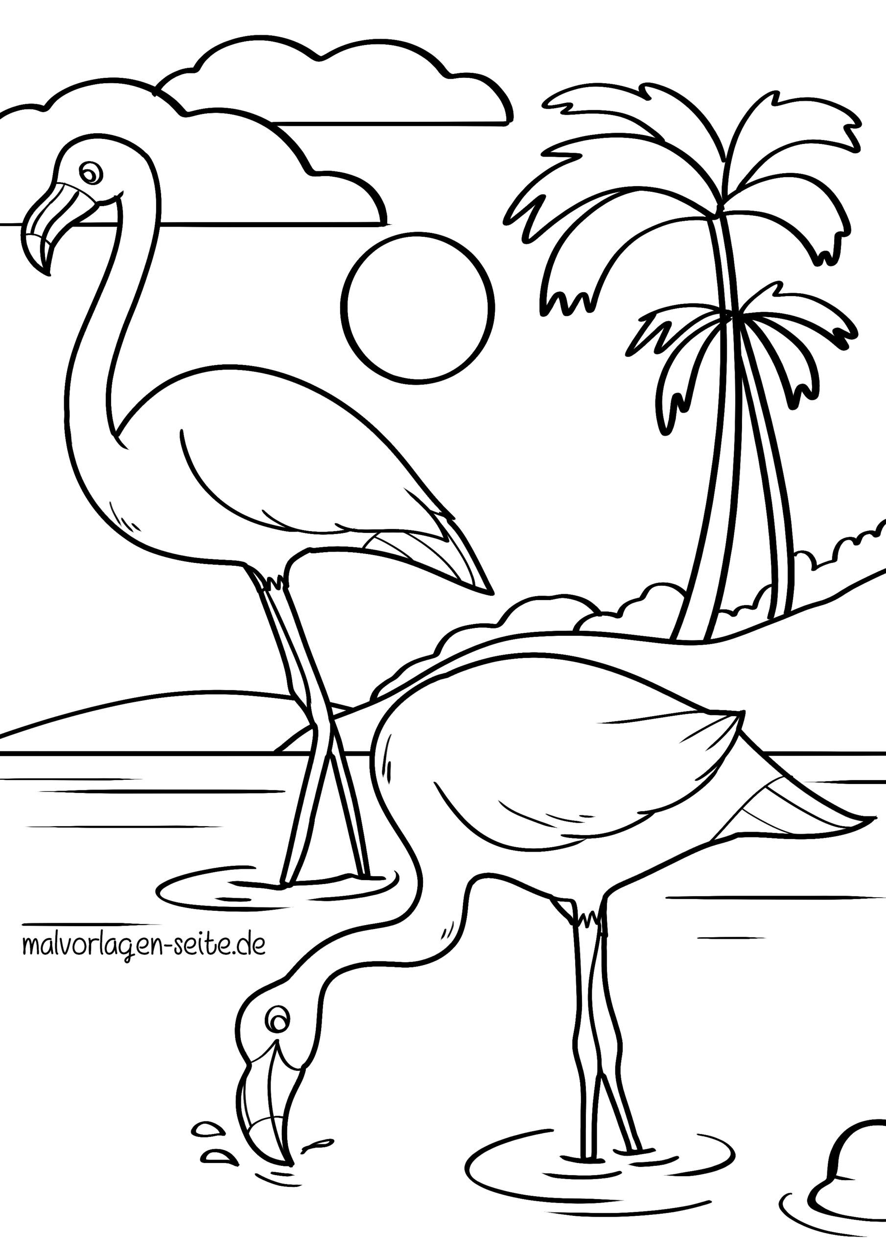 Malvorlage Flamingos