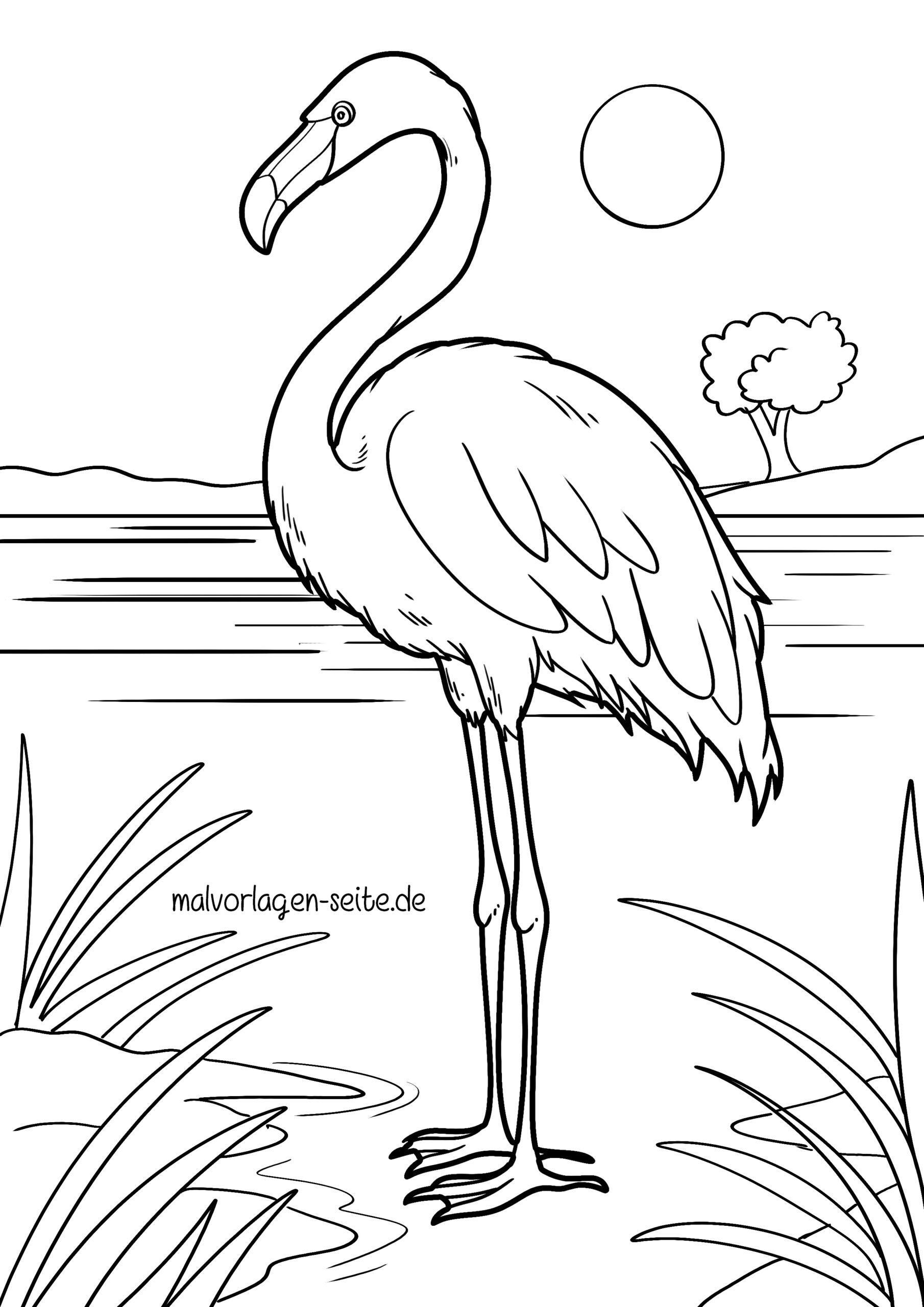 Malvorlage Flamingo