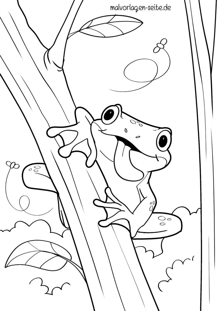  Malvorlage Frosch - Ausmalbild kostenlos herunterladen Bildidee 