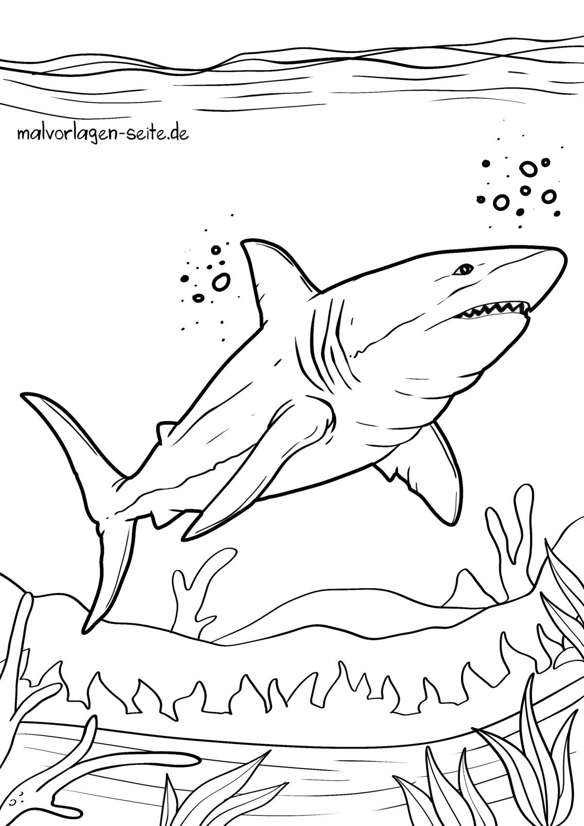  Ausmalbild kostenlos herunterladen 