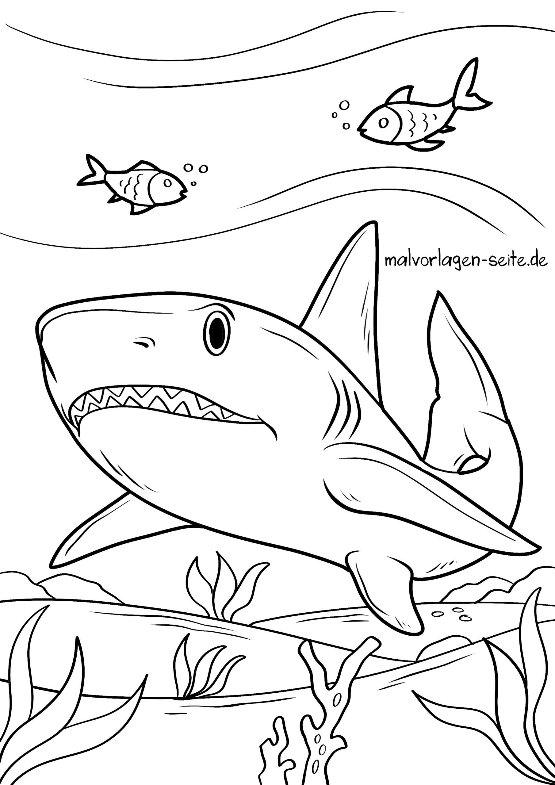 Malvorlage Hai