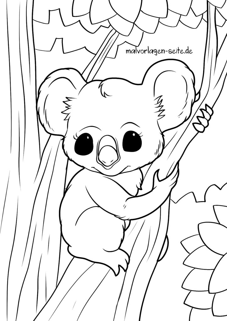  Malvorlage Koala - Ausmalbild kostenlos herunterladen Bildidee 