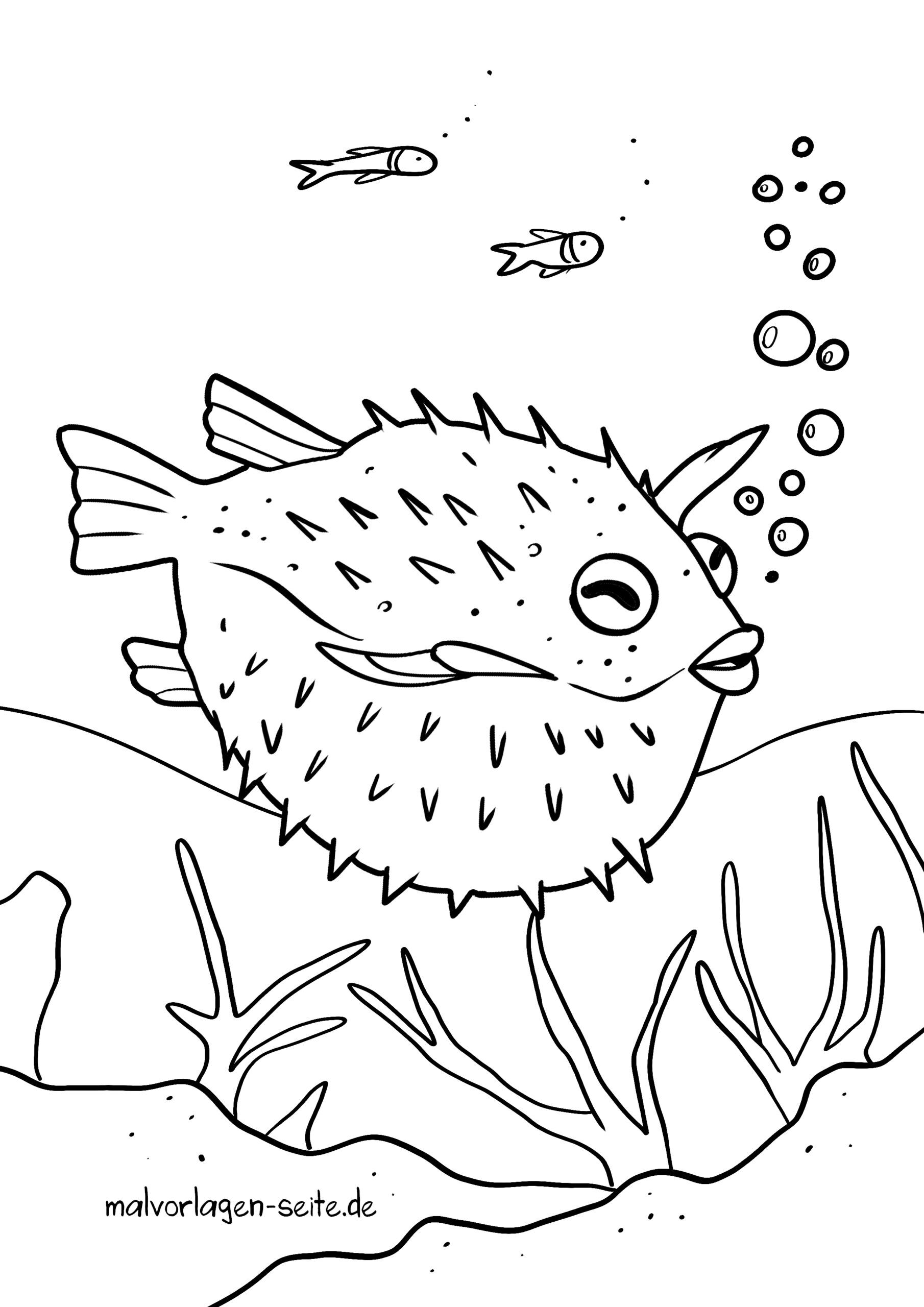 Malvorlage Kugelfisch