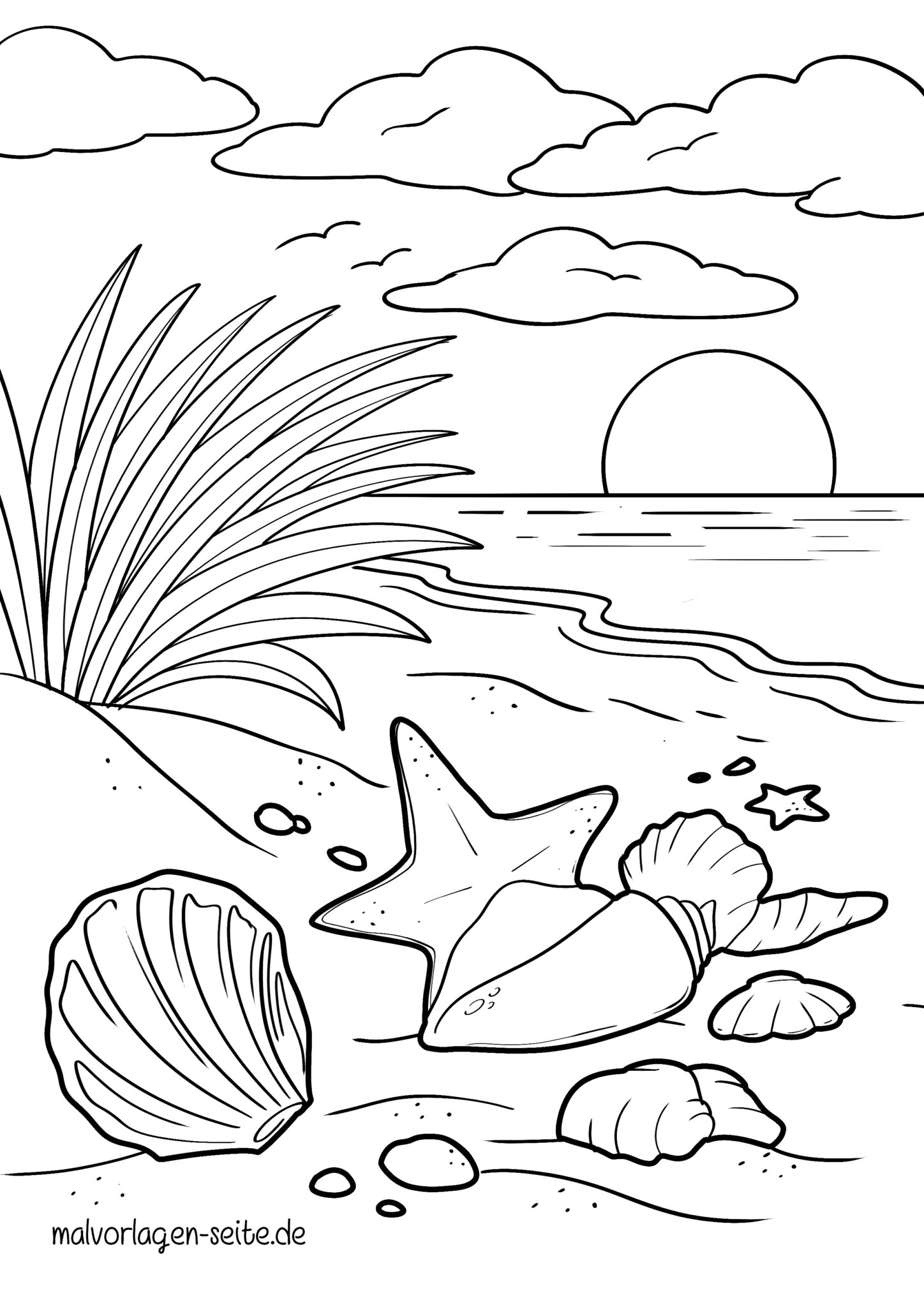 Malvorlage Muscheln | Jetzt kostenlos herunterladen