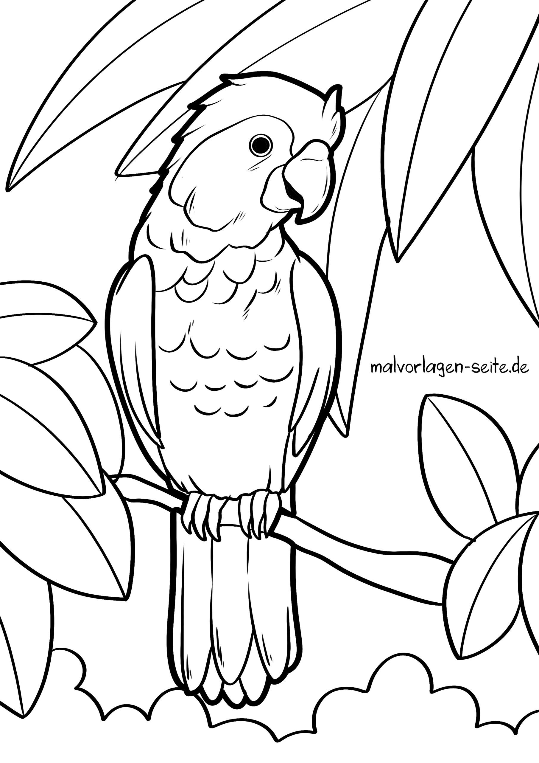 Malvorlage Papagei