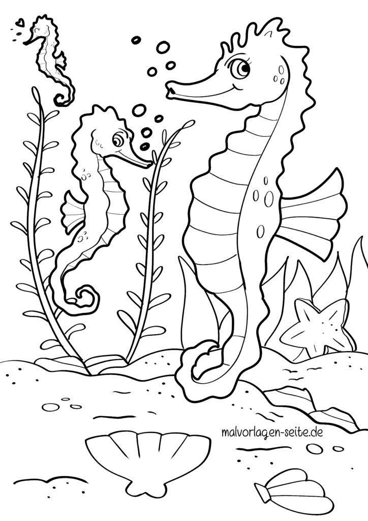  Malvorlage Seepferdchen - Ausmalbild kostenlos herunterladen Motiv 
