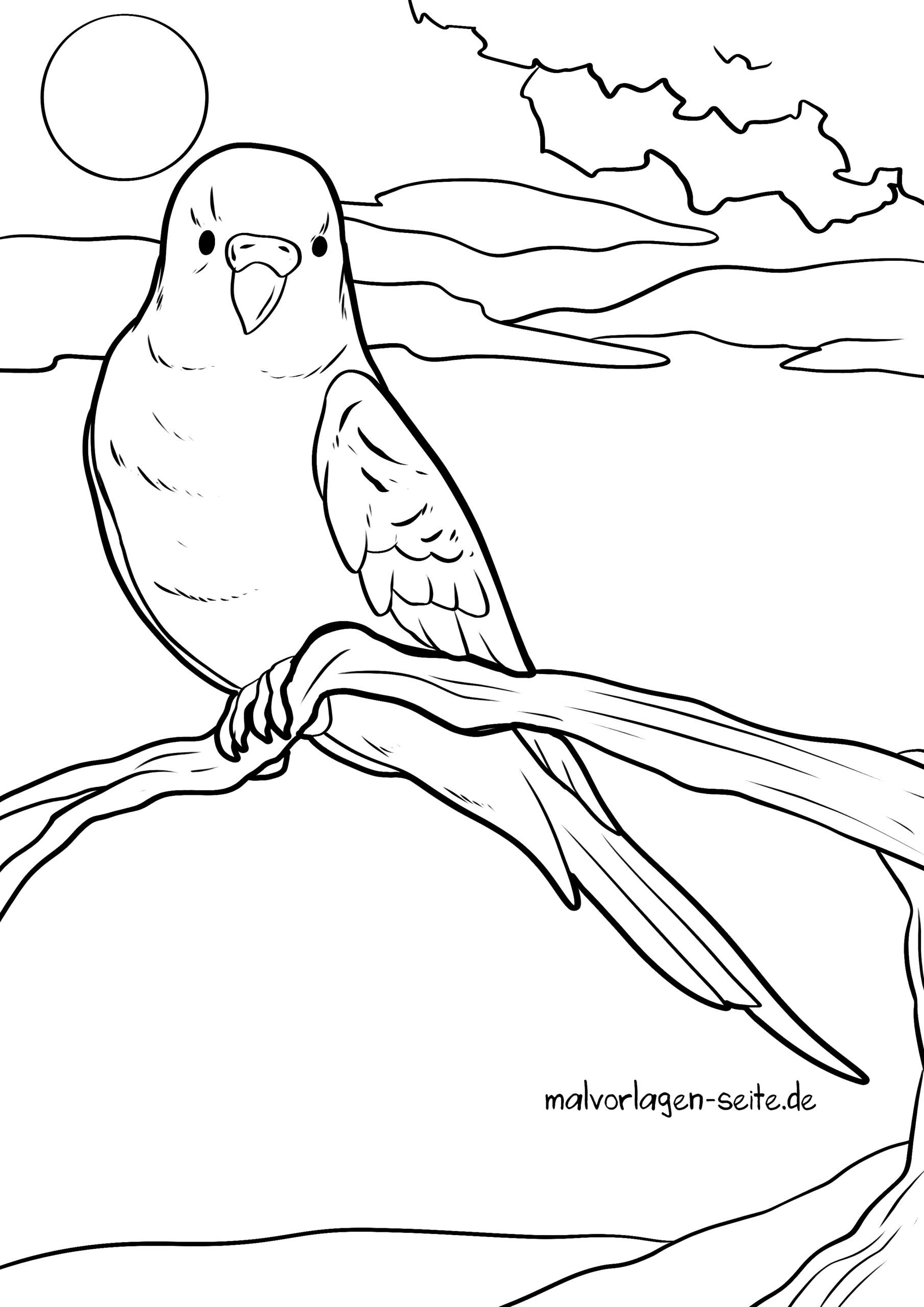Malvorlage Wellensittich